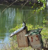 slide-1