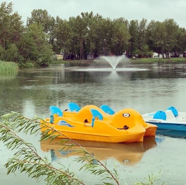 Paddleboats are a popular family activity